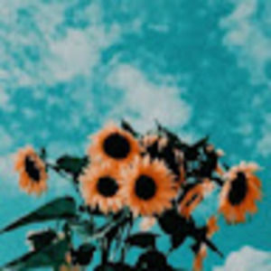 Meet your Posher, Annabella